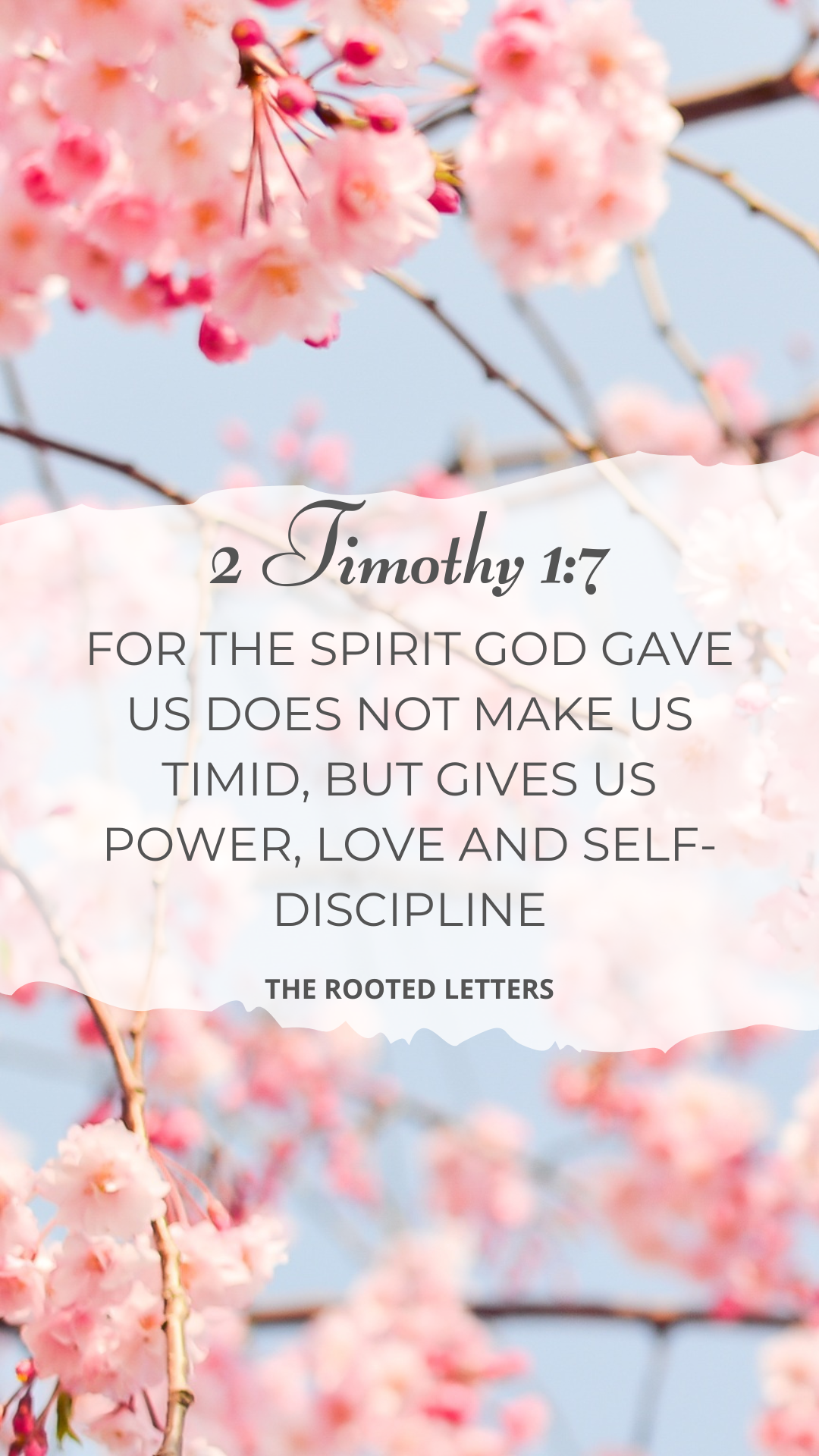 The Rooted Letters - June | Monthly Christian Mail Club